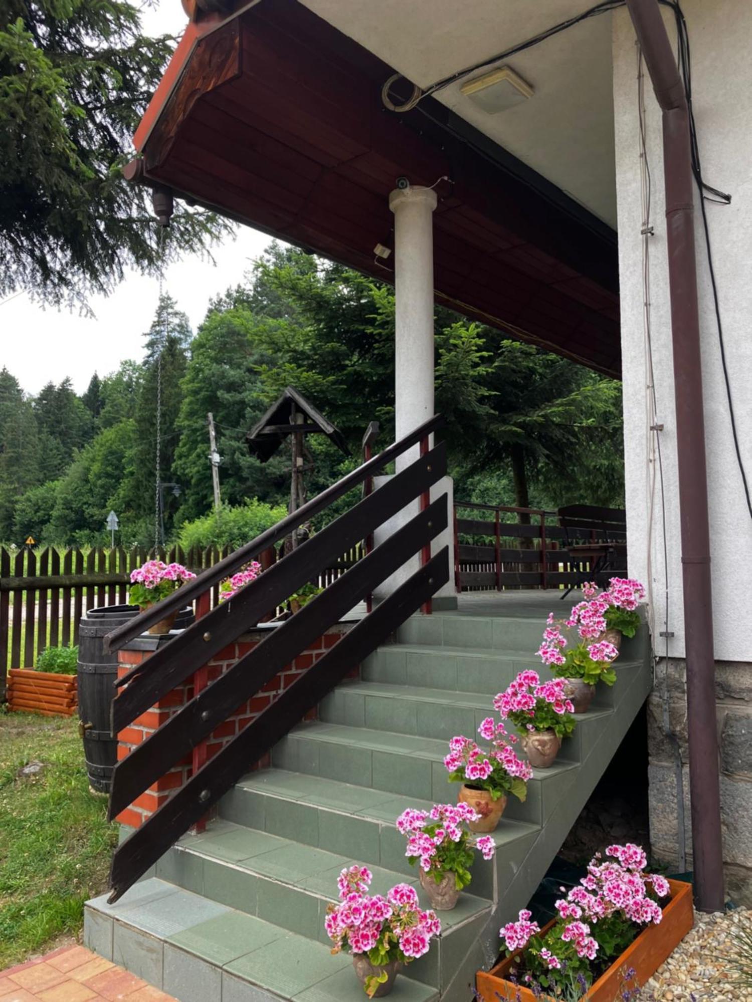 Base Camp Pieniny Hotel Niedzica Kültér fotó